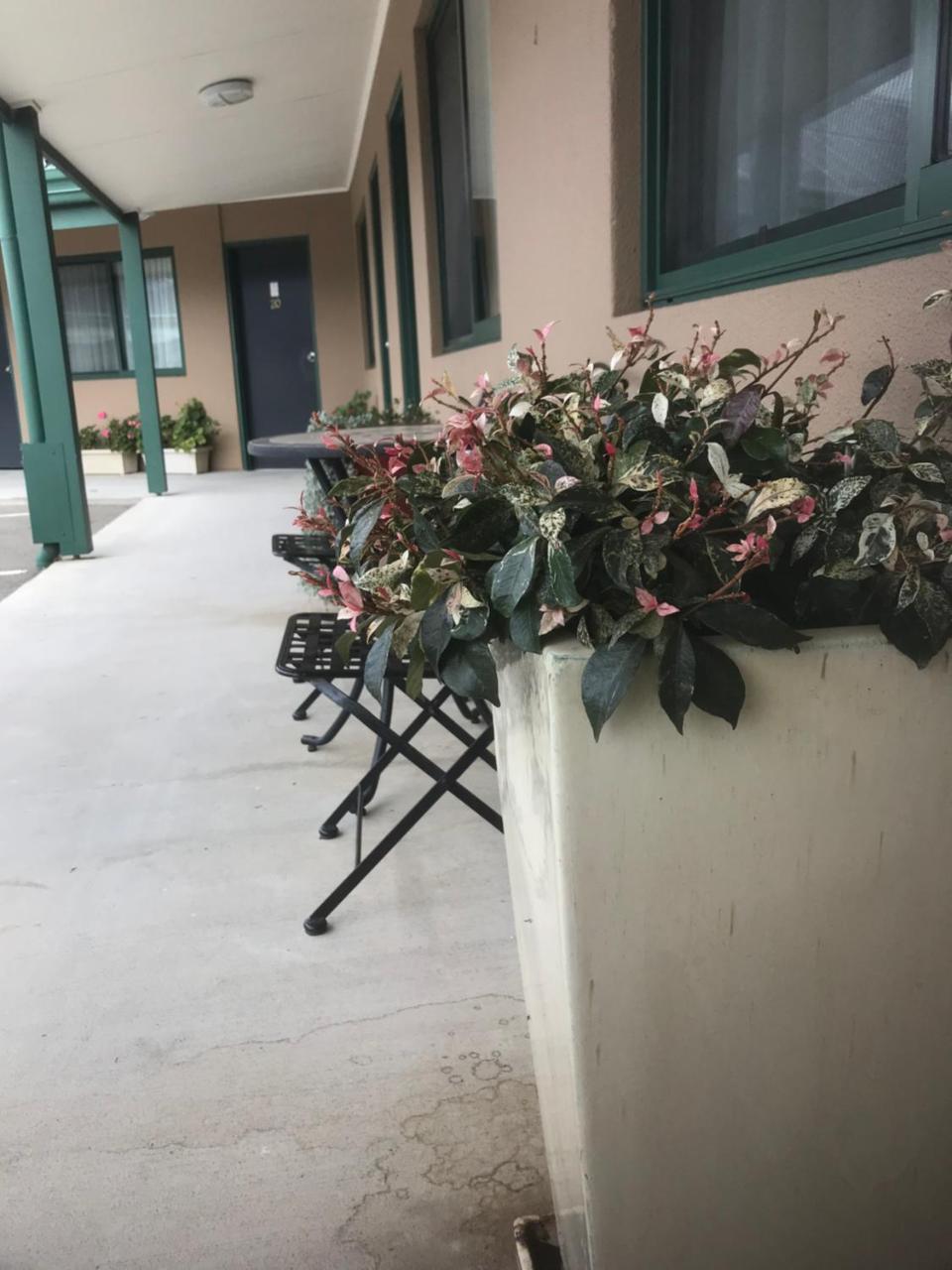 The Bakehouse Motel Goulburn Εξωτερικό φωτογραφία